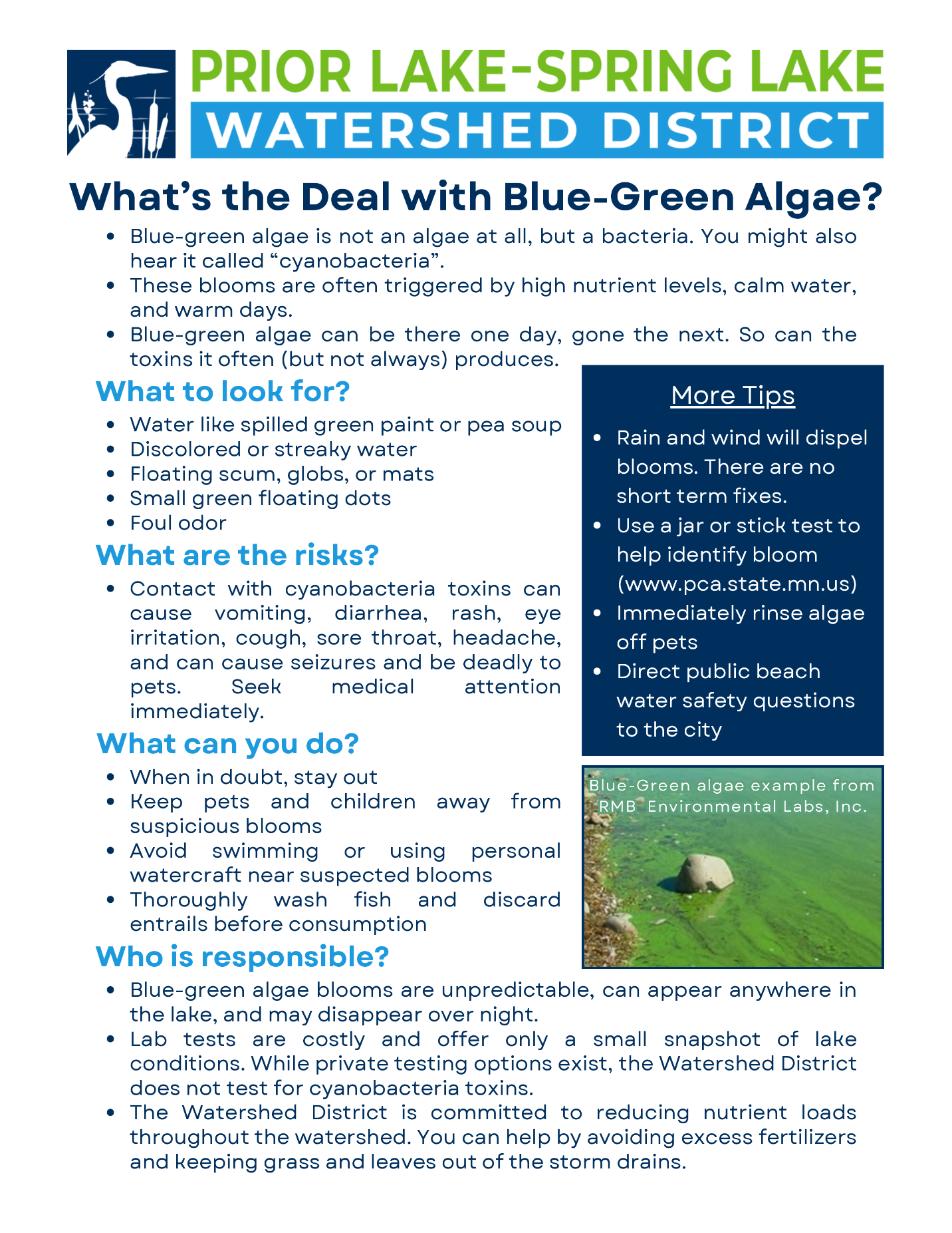 What to Know about Blue-Green Algae.png