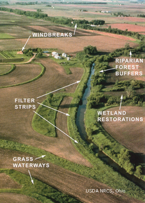 Windbreaks, filter strips, and wetland restoration are a few examples of best management practices used in an agricultural setting.